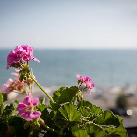 Bed and Breakfast Salsedine Sea View Salerno Esterno foto